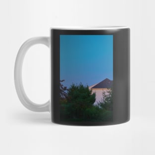 Homes and Homes Mug